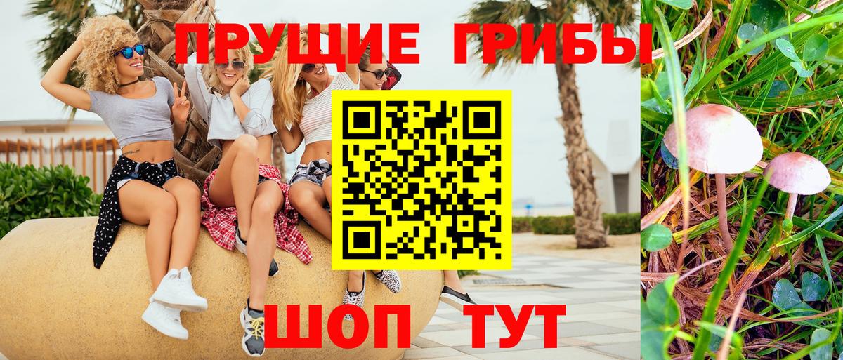 Псилоцибиновые грибы прущие грибы Шелехов